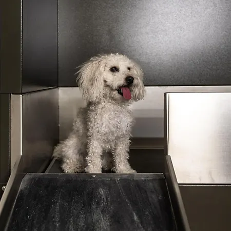 Apartment Penthouse Auf Sylt List auf Sylt